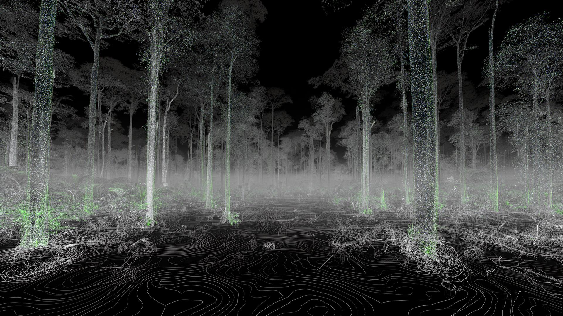 Floresta flutuante final — BiomeTrace